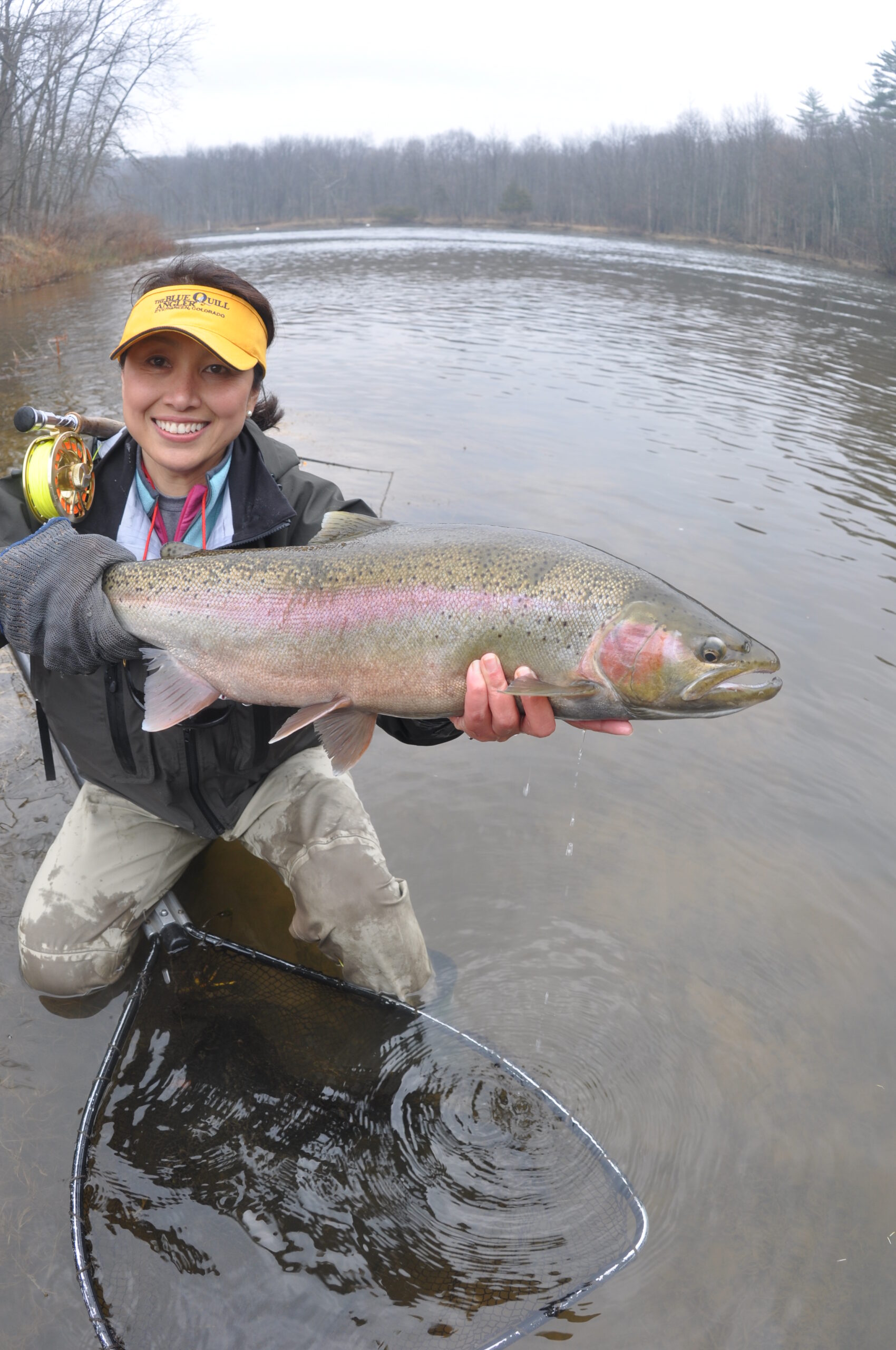 Why our Steelhead Runs are Evolving-Nature & Nurture - Hallowed Waters