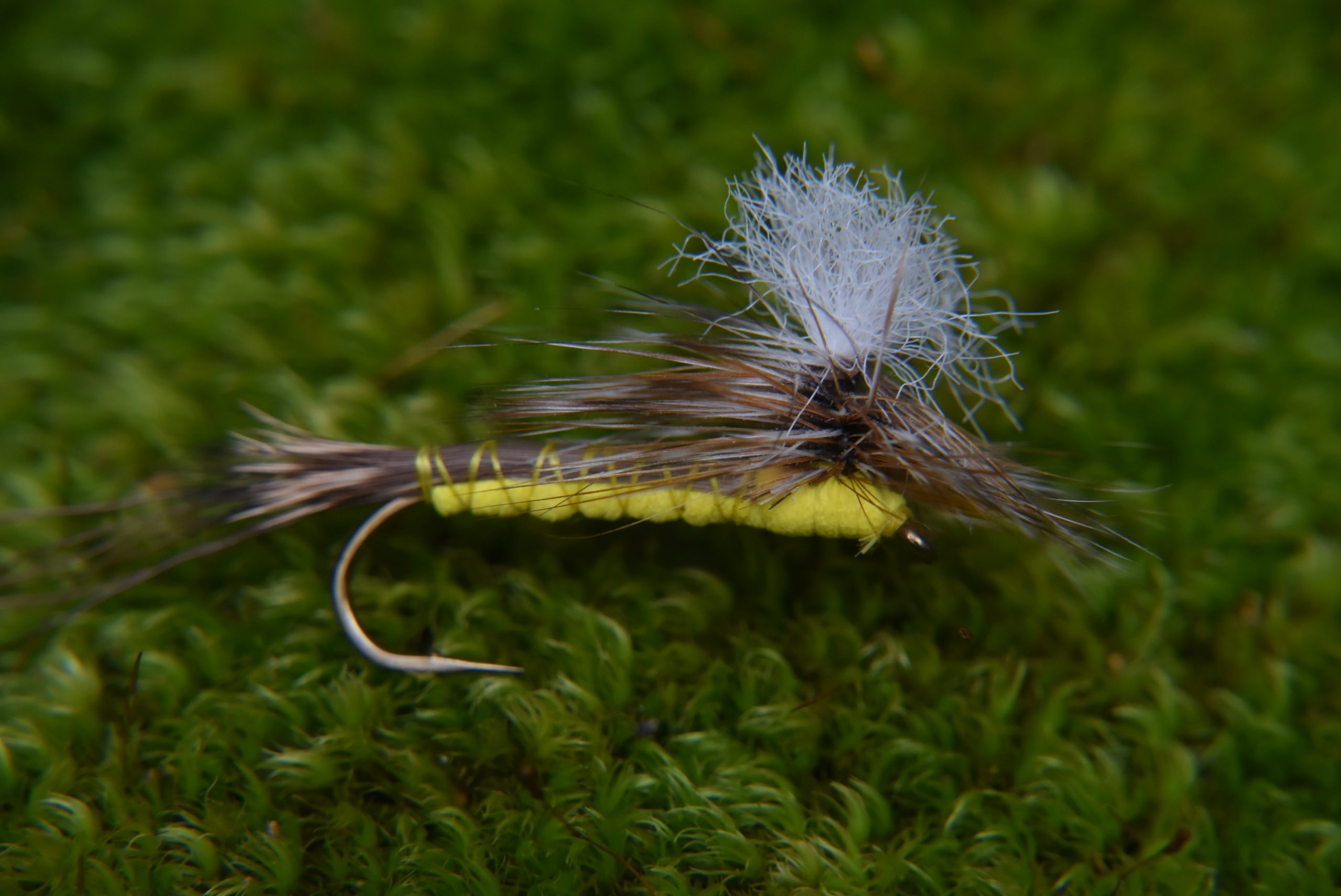 Rhode Island's Hex Hatch Fly Tying Session🎣✨🪰 Summer is here and fly  fishing anglers flock to the Wood River for the annual Hexagenia limbata  hatch, Rhode Island's largest mayfly. Aquatic Resource Education