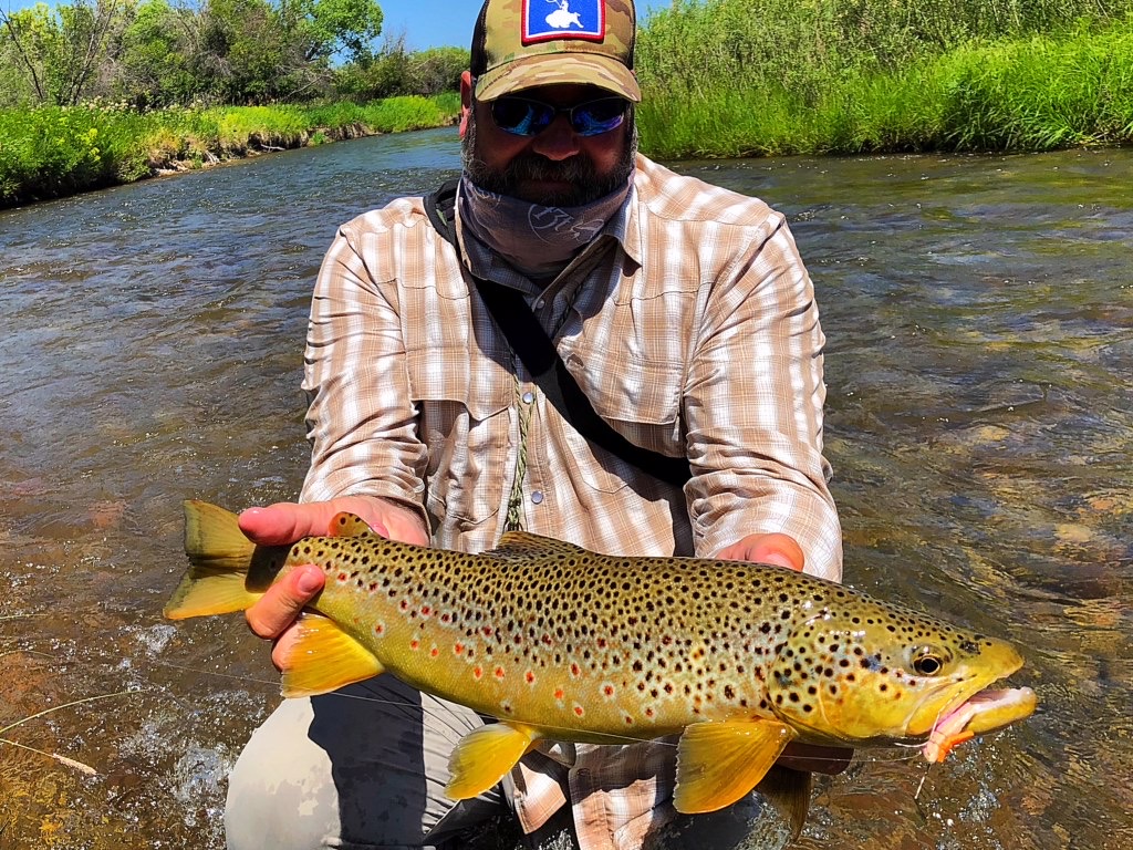 Brown Trout Fly Fishing Throw Blanket by letourneau41