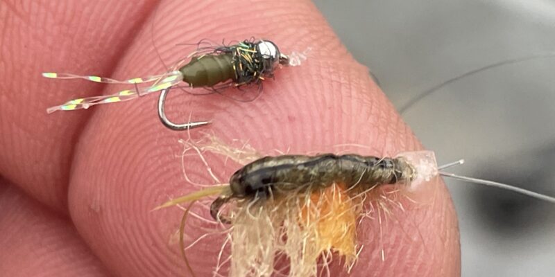 Midges and Scuds are tiny minutiae extremely important in winter. These are a trout's daily bread and butter.