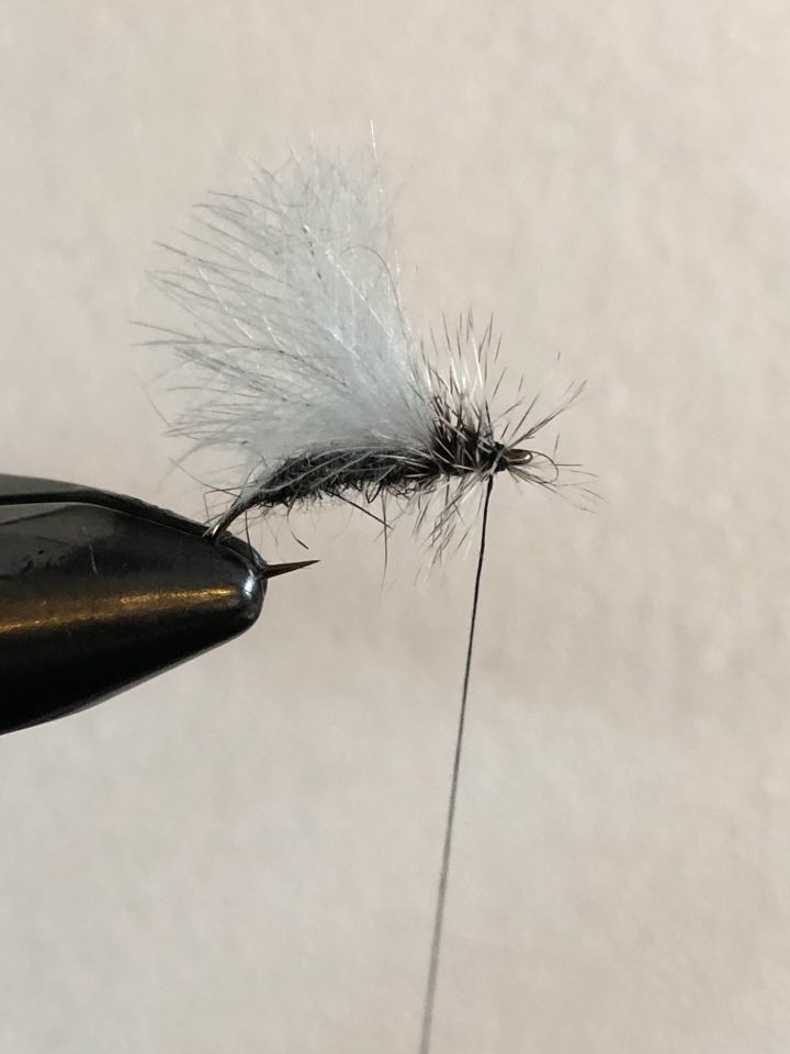 Black Stone Fly Nymph - Hawkins Outfitters - Northern Michigan Fly